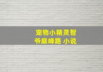 宠物小精灵智爷巅峰路 小说